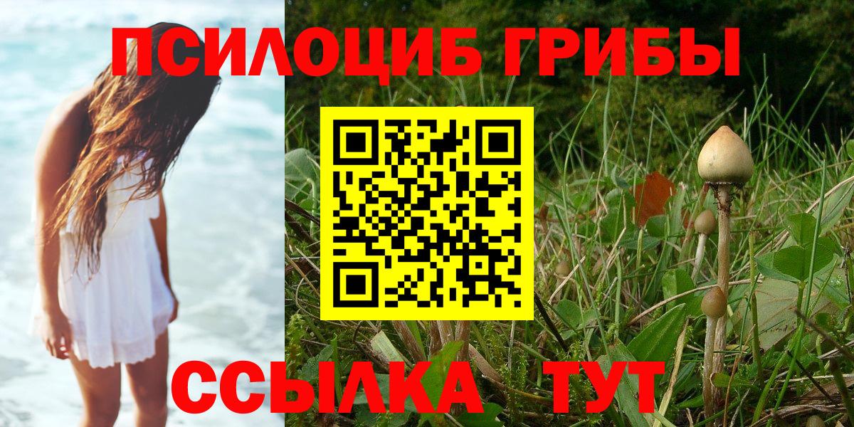 Галлюциногенные грибы GOLDEN TEACHER Сафоново