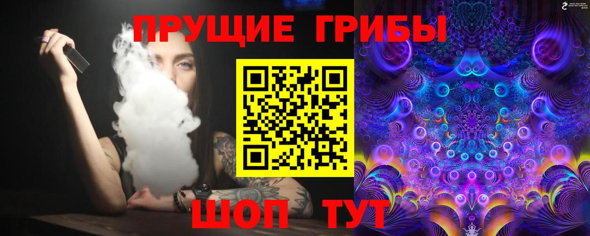 Сафоново  Галлюциногенные грибы Magic Shrooms  Вход с VPN  Псилоцибиновые грибы прущие грибы 